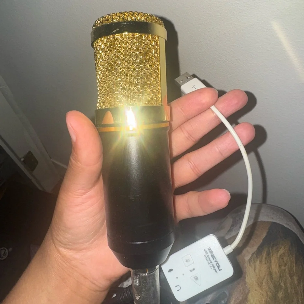 BM-800 Gold and Black Microphone
